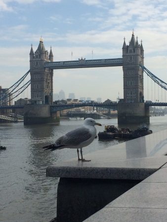 Londres_fev_2017_tower_bridge (2)