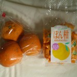 oranges_yakushima