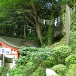 enoshima_escalator