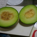 melon01