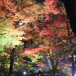 kiyomizu-dera_momiji01