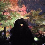 kiyomizu-dera_momiji02