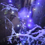 snow_blue_light