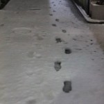 snow_my_footprint