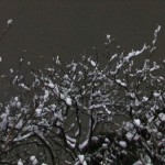 snow_trees02
